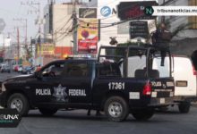 Policía Federal, persecución, La Noria, El Ray, narcotráfico, Morelos