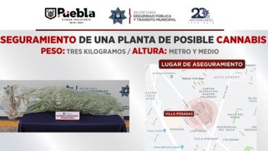 calle Azabache, colonia Villa Posadas, Unidad Canina, Ministerio Público, marihuana, metro y medio, tres kilos, 911