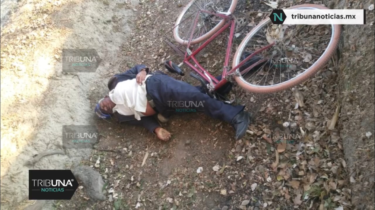 Cadáver, ciclista, San Miguel Xoxtla, muerte, tercera edad, Secretaría de Seguridad Pública, bicicleta, occiso
