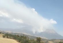 volcán Citlaltepetl, incedio, muertos, llamas, Protección Civil, Chalchicomula de Sesma, Atzitzintla, cuerpos