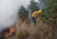 ixtacamaxtitlán, incendio, voluntario, fallecido, llamas, cerro, código rojo