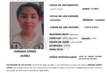 Alerta Amber, menor de edad, Fiscalía General del Estado, ciudad de Puebla, CENTRO, Delitos de Desaparición Forzada de Personas y Desaparición Cometida por Particulare