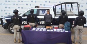 capu, marihuana, armas de fuego, aseguramiento, ssc, perro, detección, ciudad de méxico, código rojo