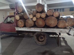 ahuazotepec, árboles, ford, dos, captura, troncos, código rojo