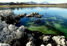 Laguna de Alchichica, vinculación a proceso, afectaciones, medio ambiente