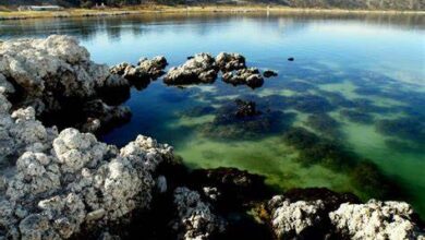 Laguna de Alchichica, vinculación a proceso, afectaciones, medio ambiente