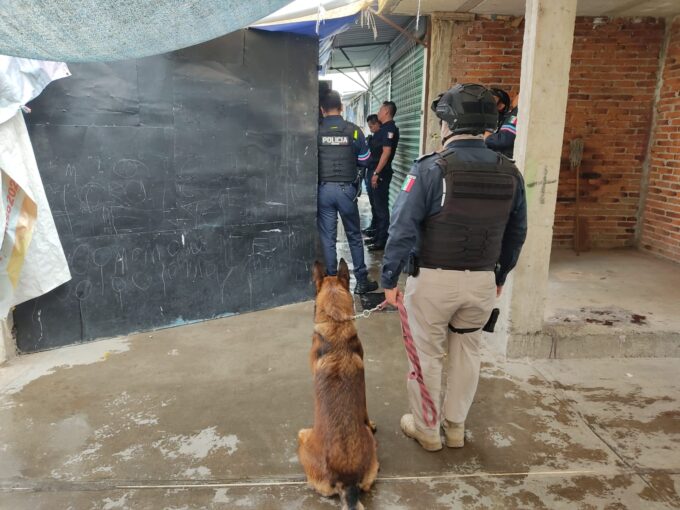 mercado Independencia, operativo, droga, Policía Municipal