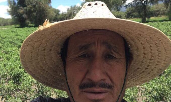activista, desaparición, búsqueda, Tlacotepec de Benito Juárez
