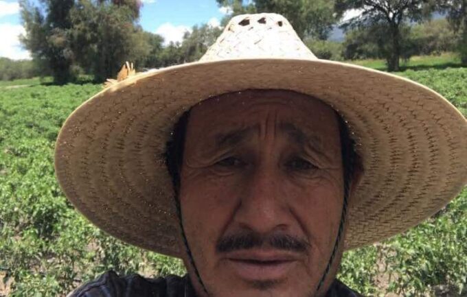 activista, desaparición, búsqueda, Tlacotepec de Benito Juárez