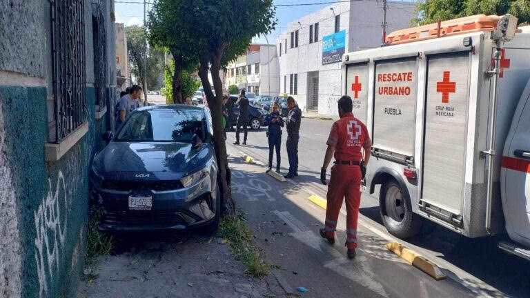 Alto, choque, árbol, muro de una vivienda