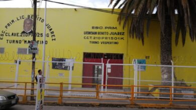 San Pablo Xochimehuacan, aves, padres de familia, envenenamiento