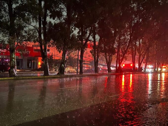 bulevar Norte, árbol, caída, Protección Civil