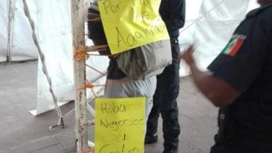 amarrado, poste, ladrón, policía