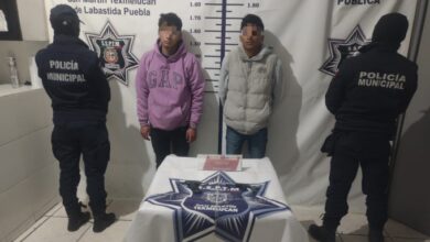 arma, detención, motocicleta, arma de fuego